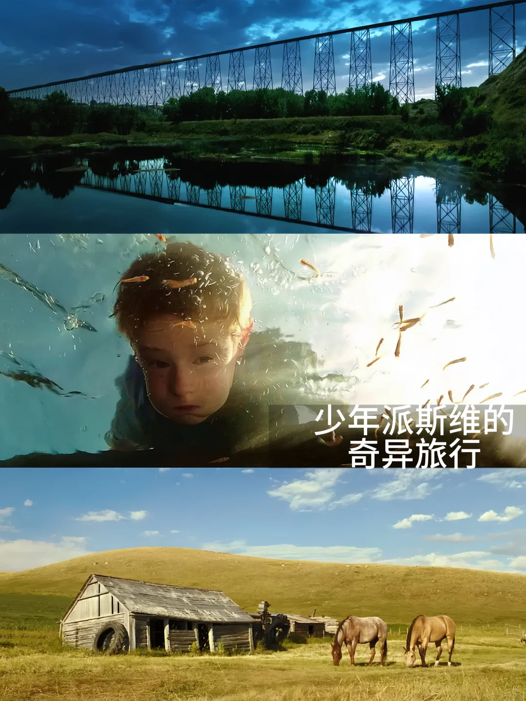 提高审美|10部美学电影🎬我要安利给全世界