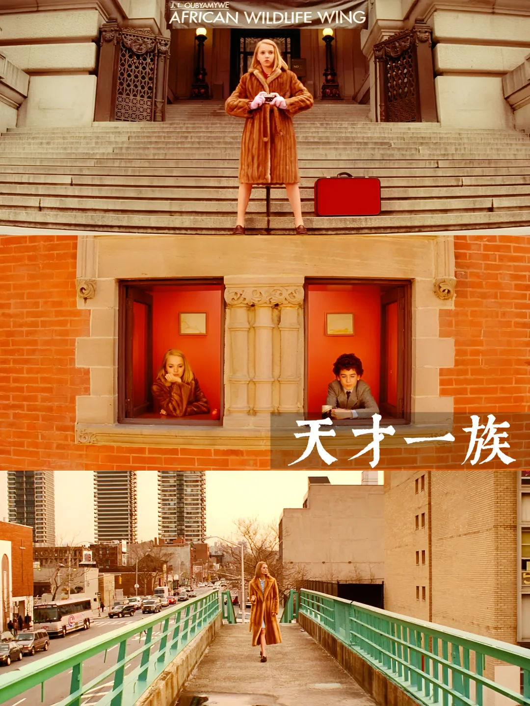 提高审美|10部美学电影🎬我要安利给全世界