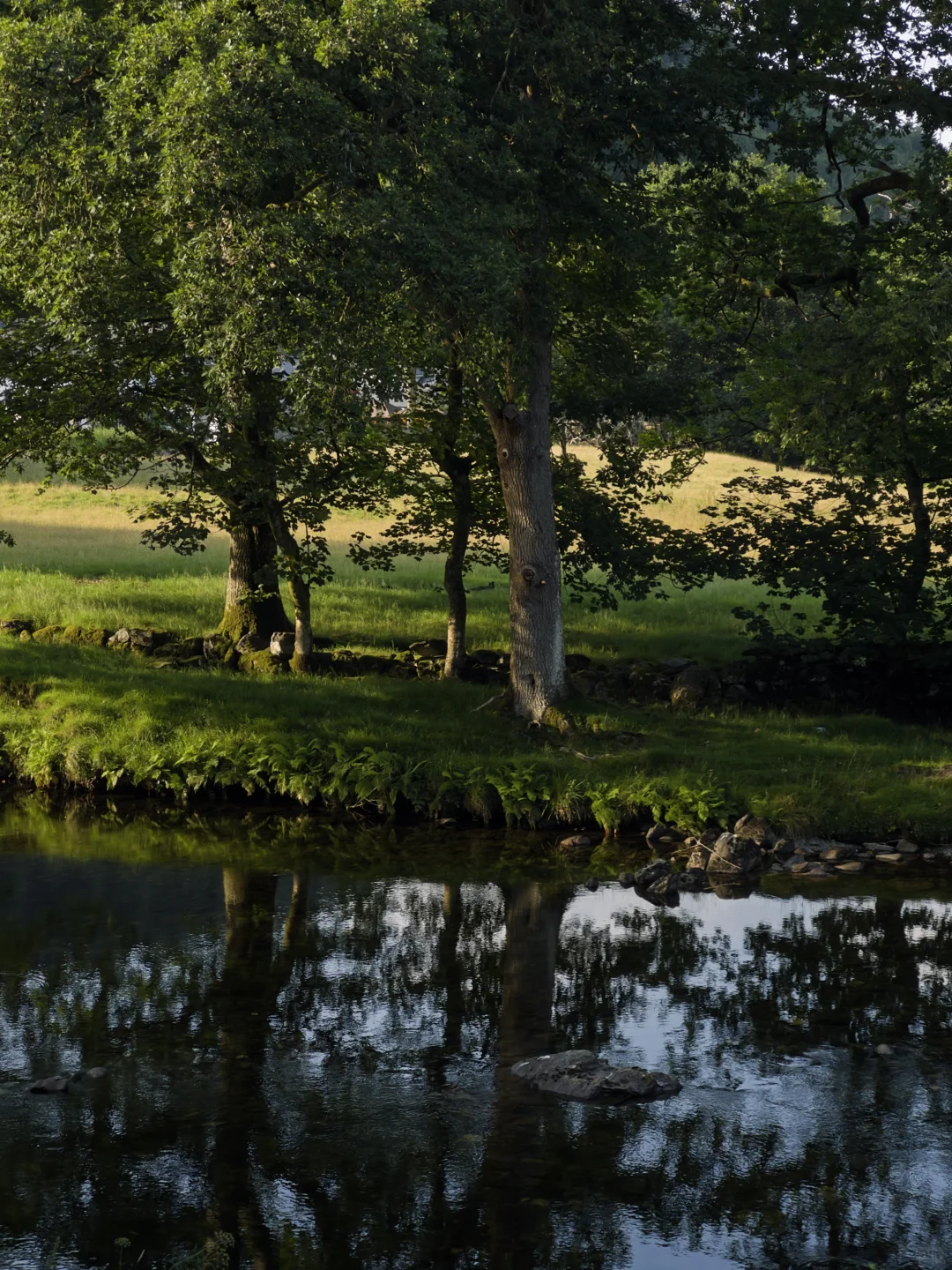 世界上最好的手机拍照app: Project Indigo