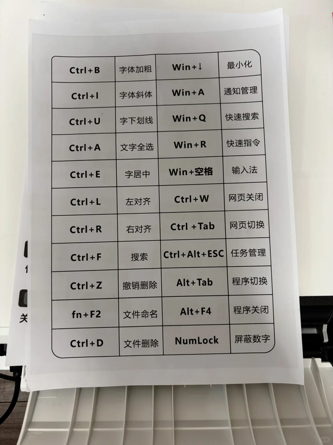 记住这些快捷键，小白也能学会办公软件！