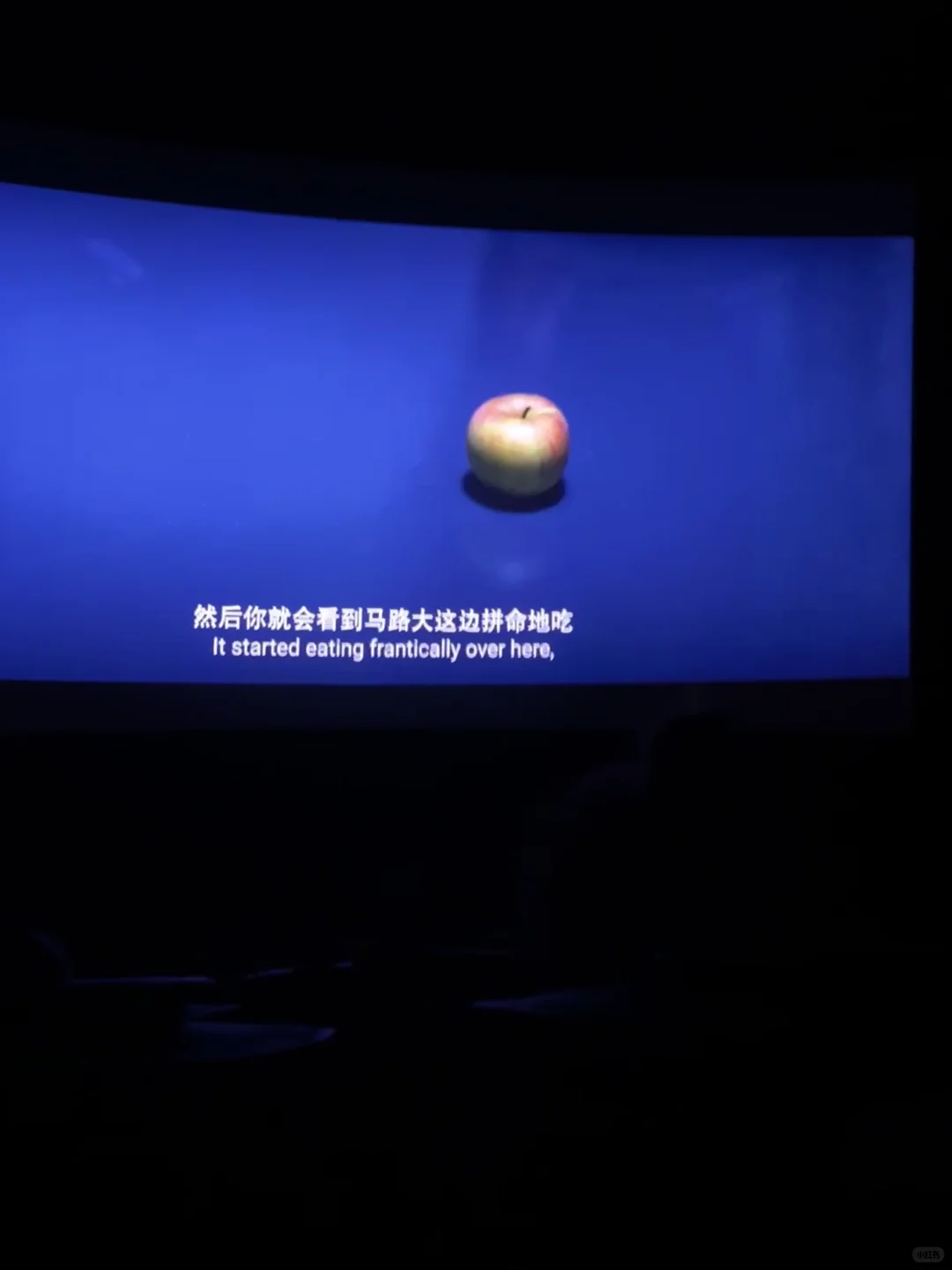 731 🎬 永远铭记 已看！！去看！！