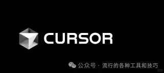 二把刀程序员用cursor，写的软件有收入了