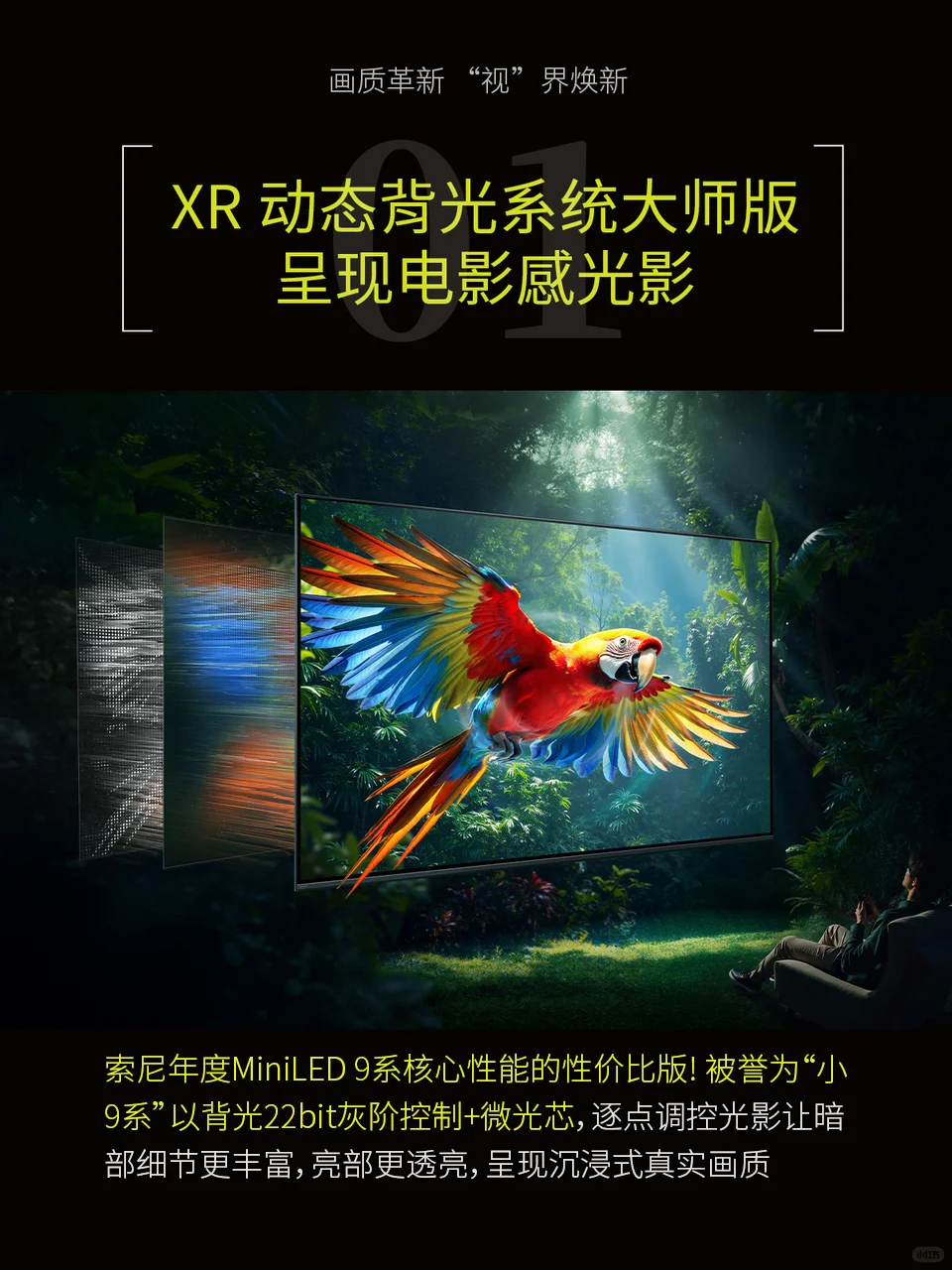 影院电视新标杆｜索尼电视5系新品发布🎬