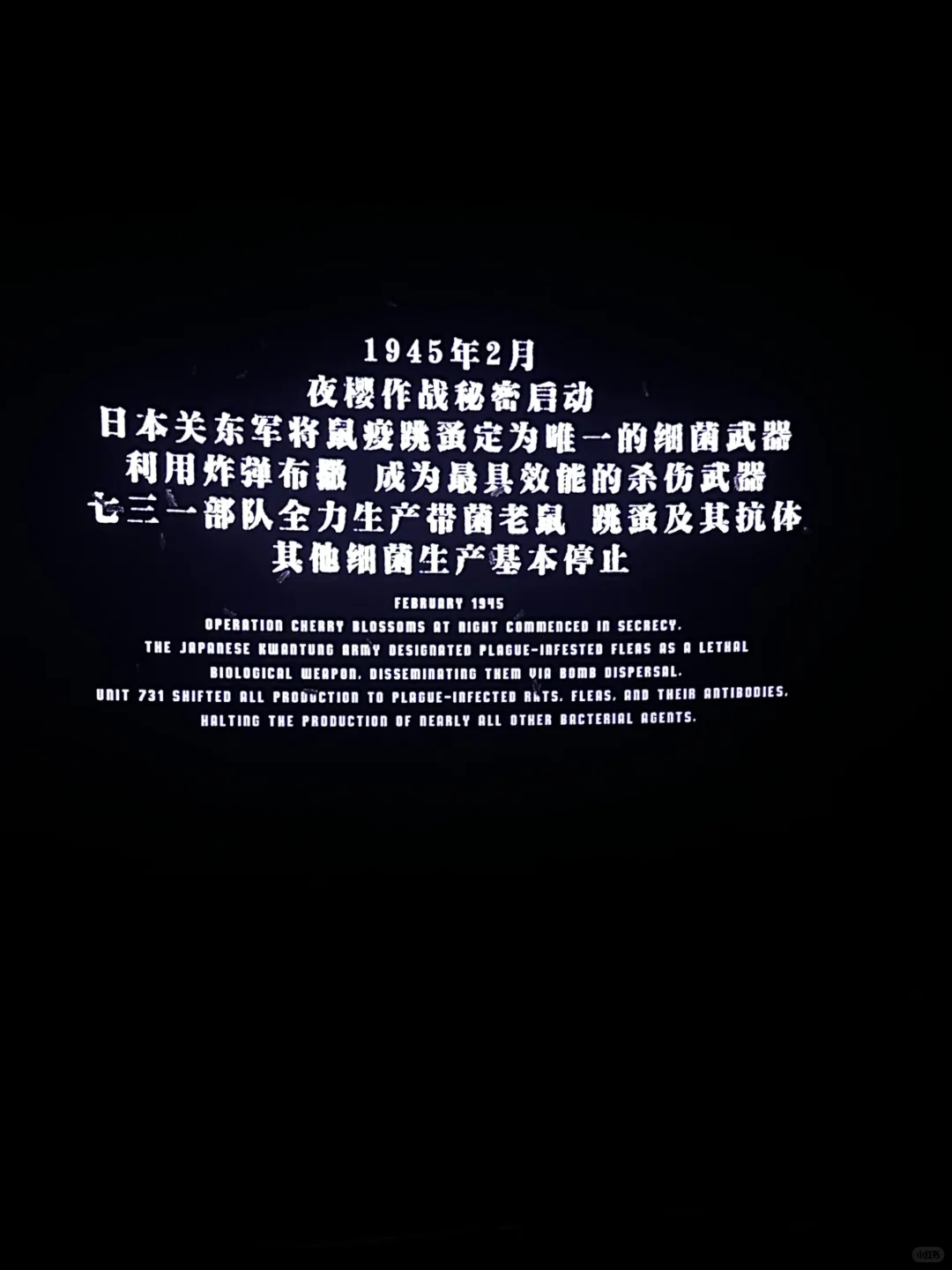 731 🎬 永远铭记 已看！！去看！！