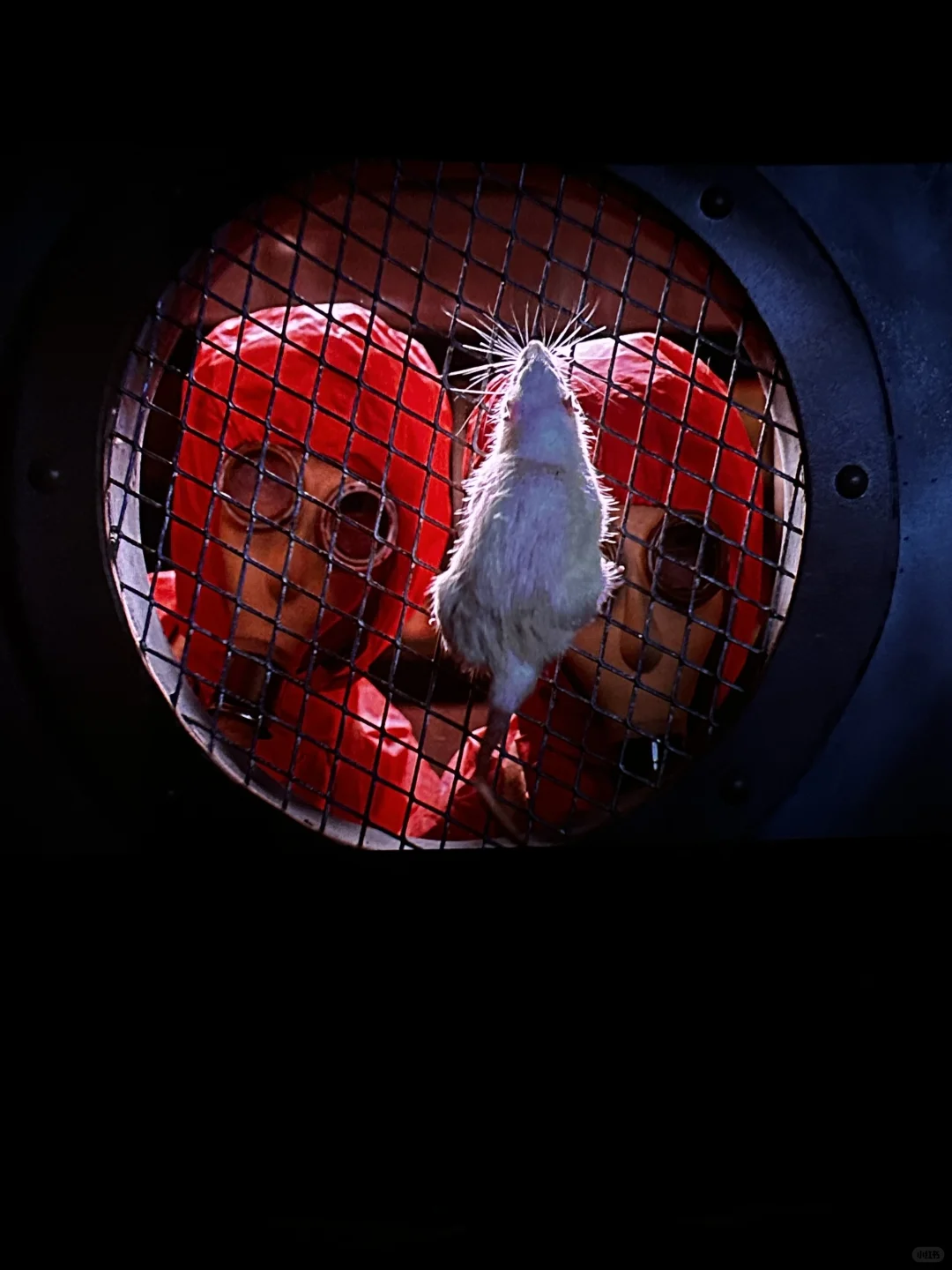 731 🎬 永远铭记 已看！！去看！！