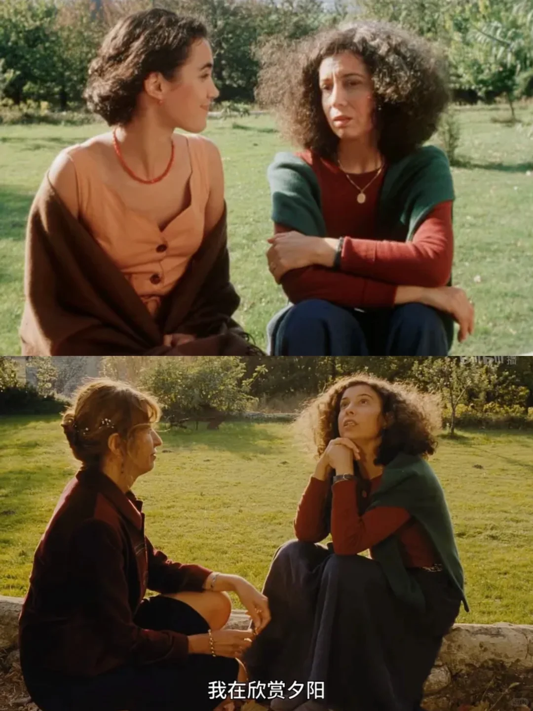 心目中最好看的秋日电影❗️没有之一‼️