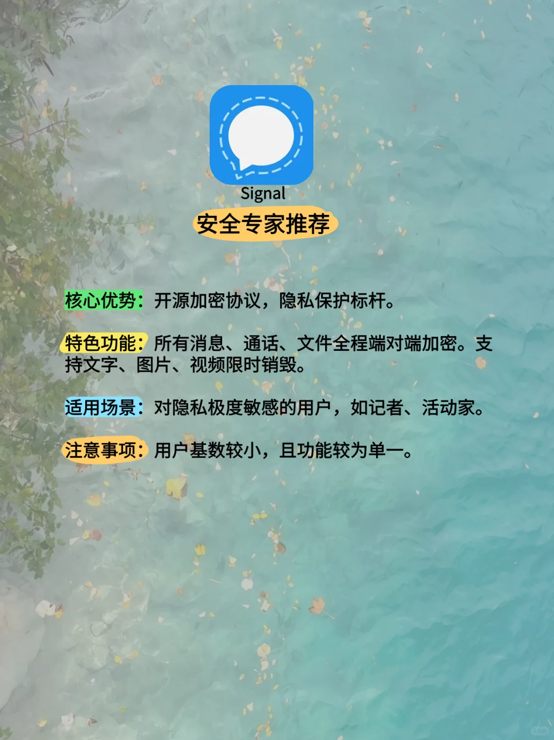 2025全球热门加密聊天社交app，你认可哪个