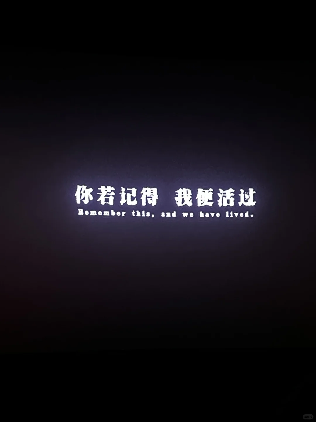 731 🎬 永远铭记 已看！！去看！！