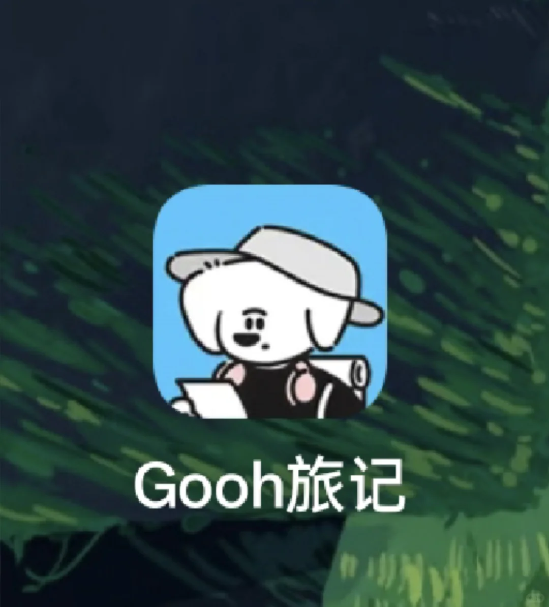 有没比这个好用的旅行APP