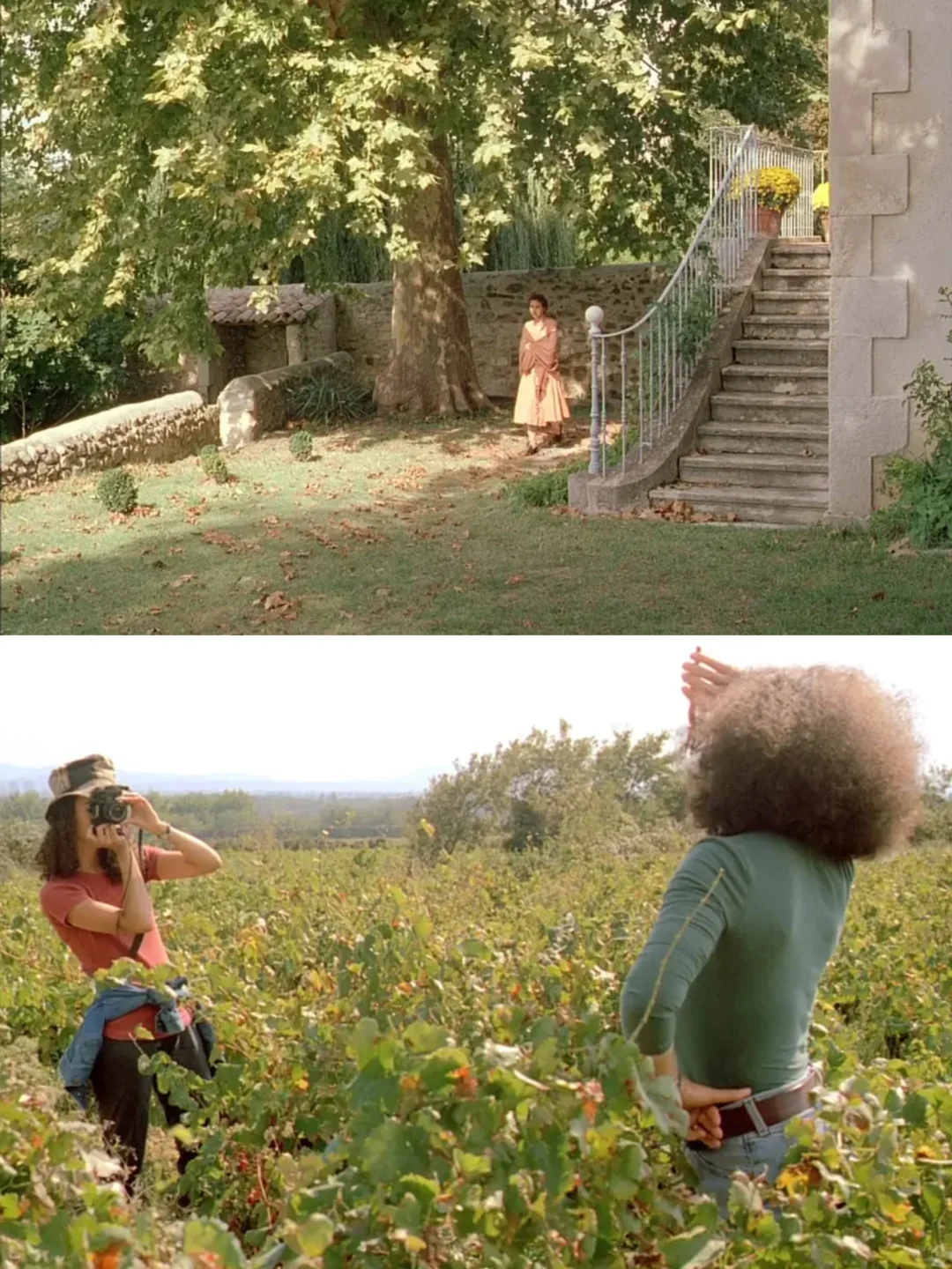 心目中最好看的秋日电影❗️没有之一‼️