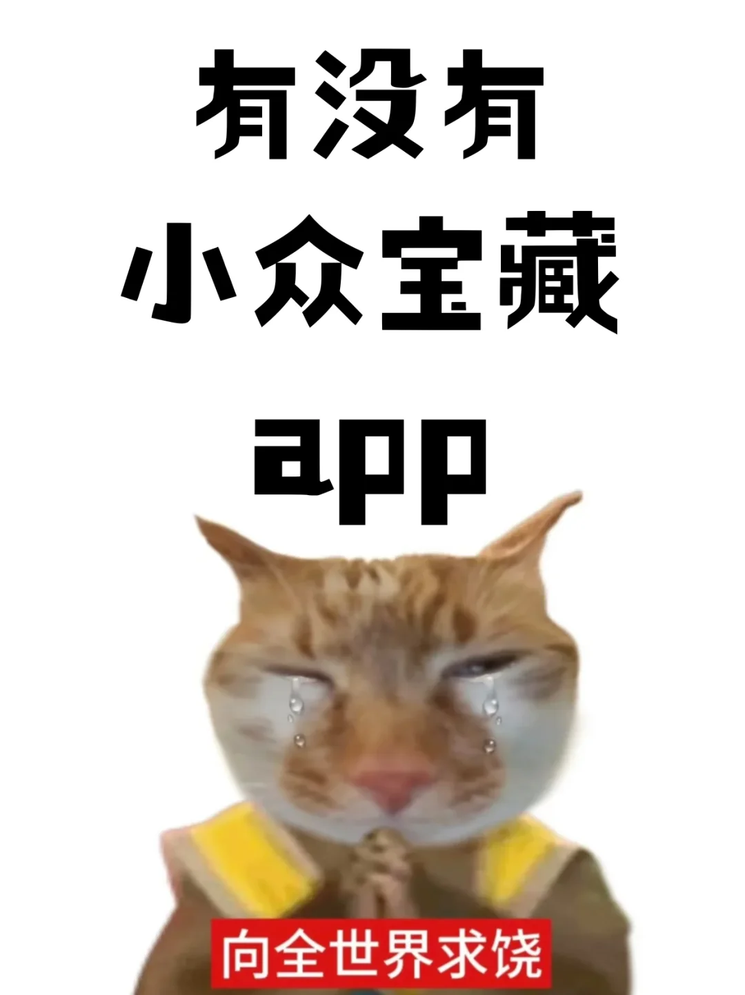 有什么一般人不知道的小众app！急需！