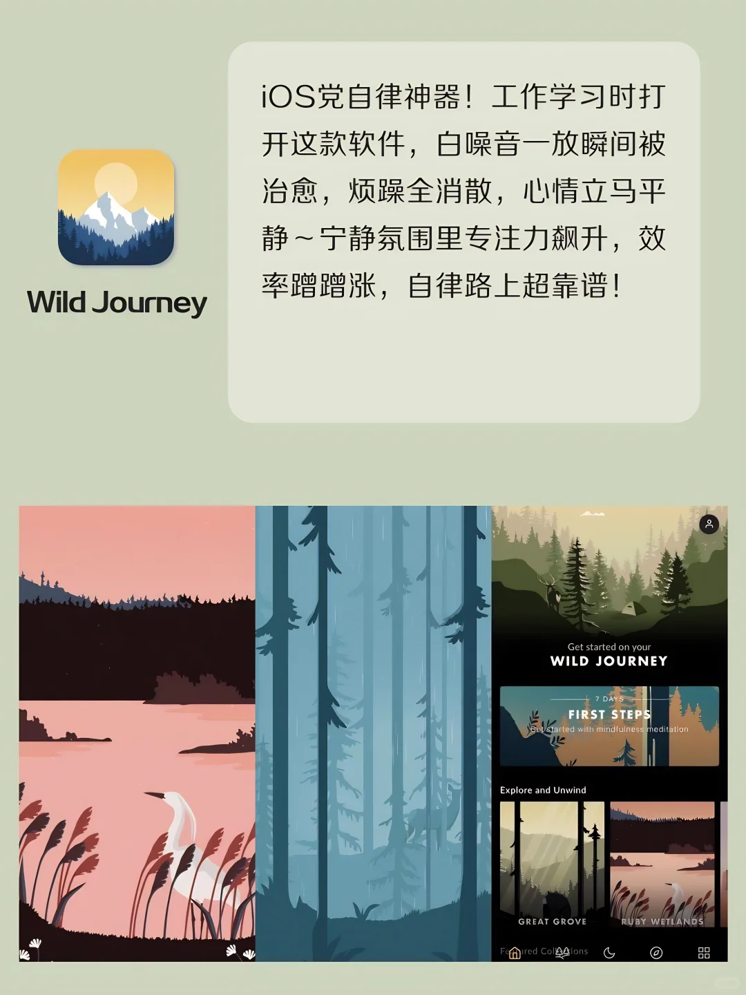 女生提升生活质量必备APP❗️小众实用‼️