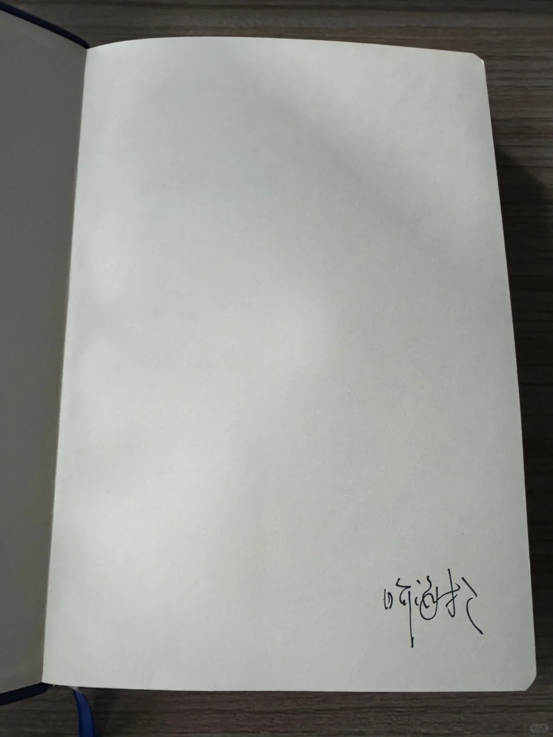 网络外挂的定罪与辩护