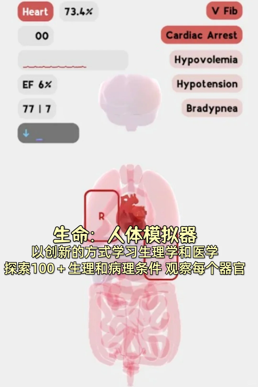 近期超热门学习模拟器游戏