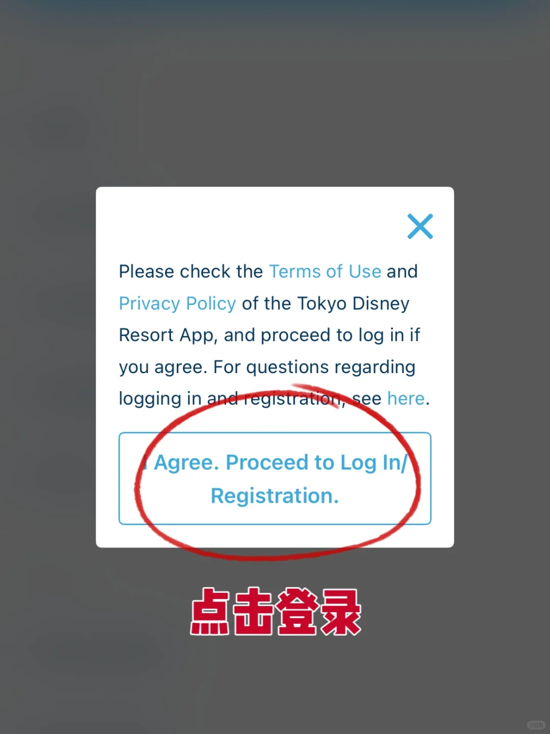 东迪准备篇1🌏手把手带你搞定APP下载使用