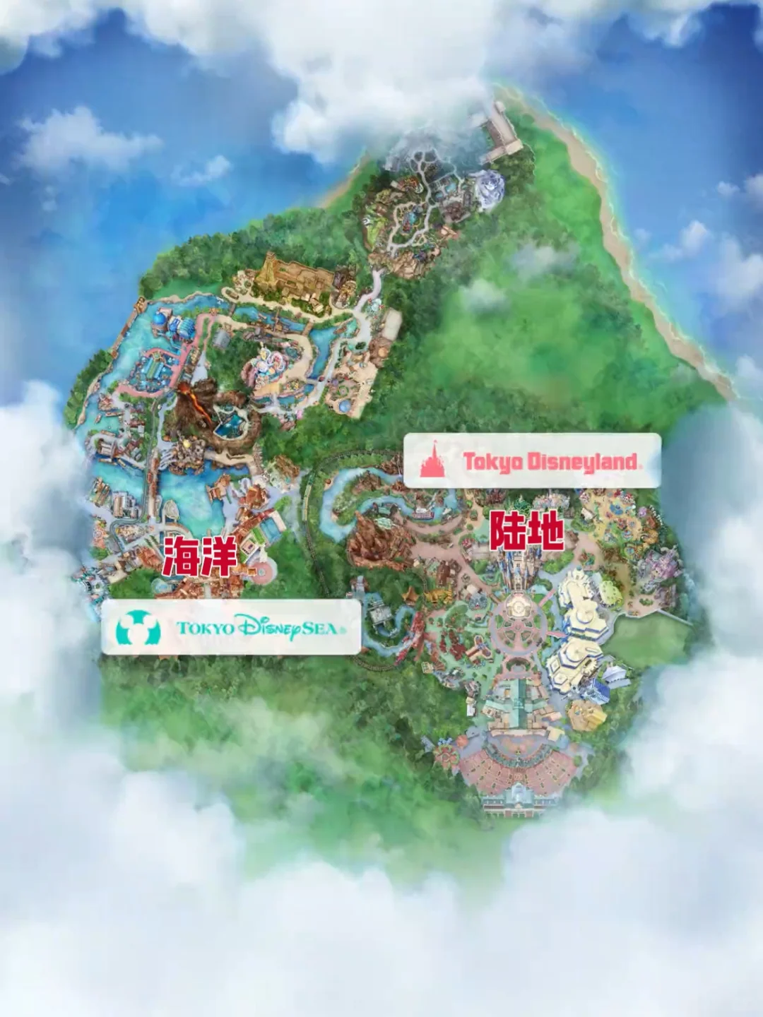 东迪准备篇1🌏手把手带你搞定APP下载使用