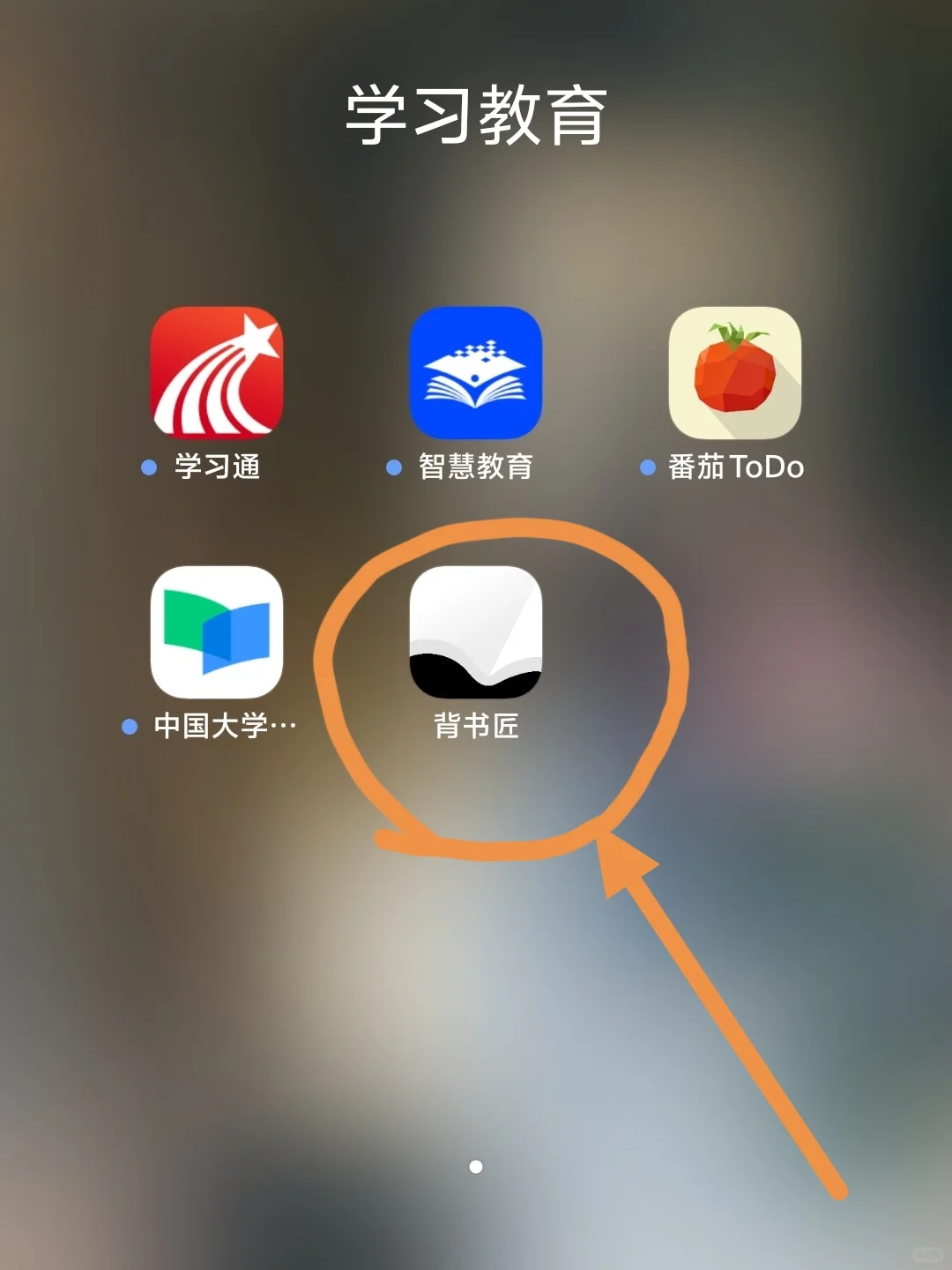 简直是背书的大大大功臣！