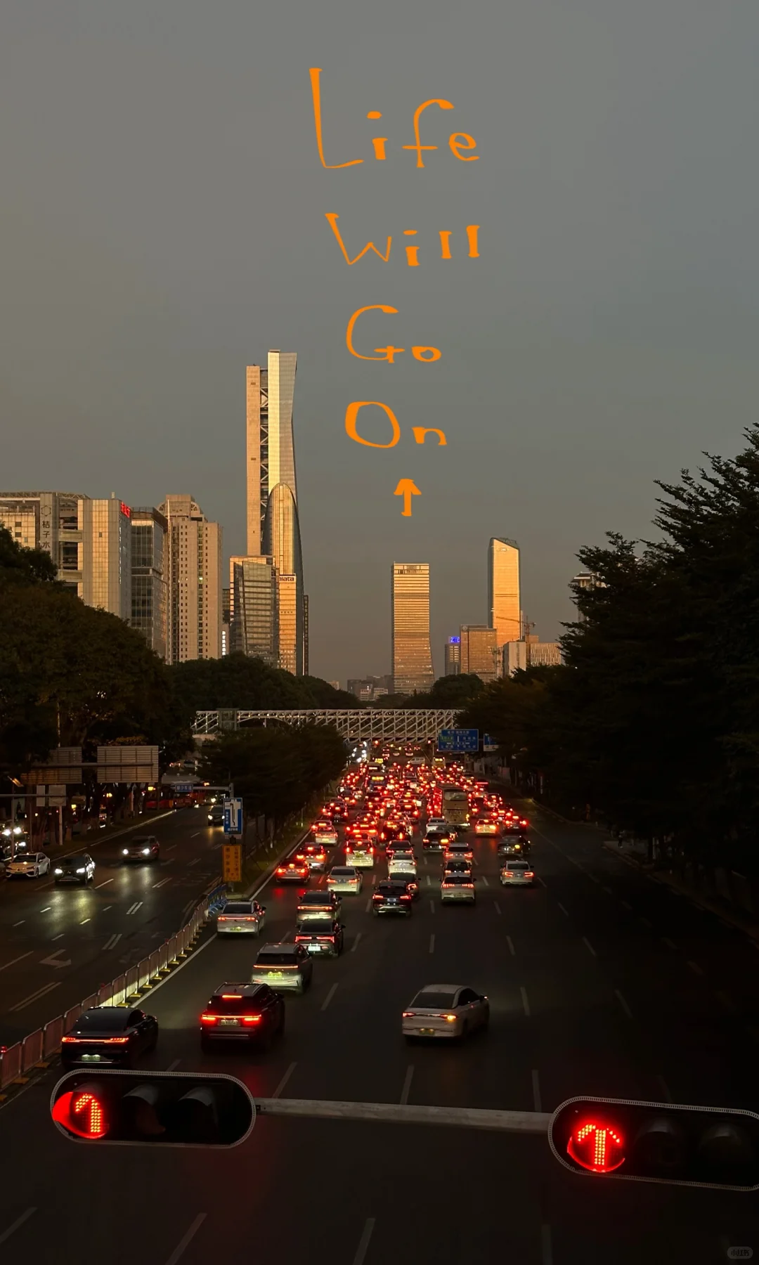 一键全屏 可太好了！