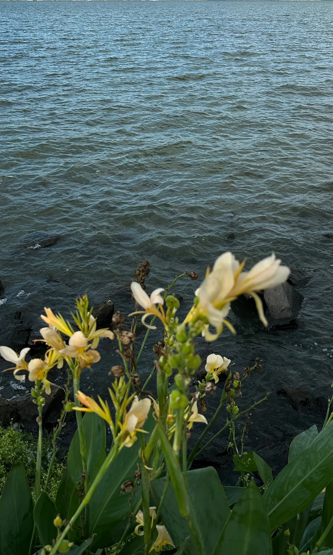 一键全屏 可太好了！