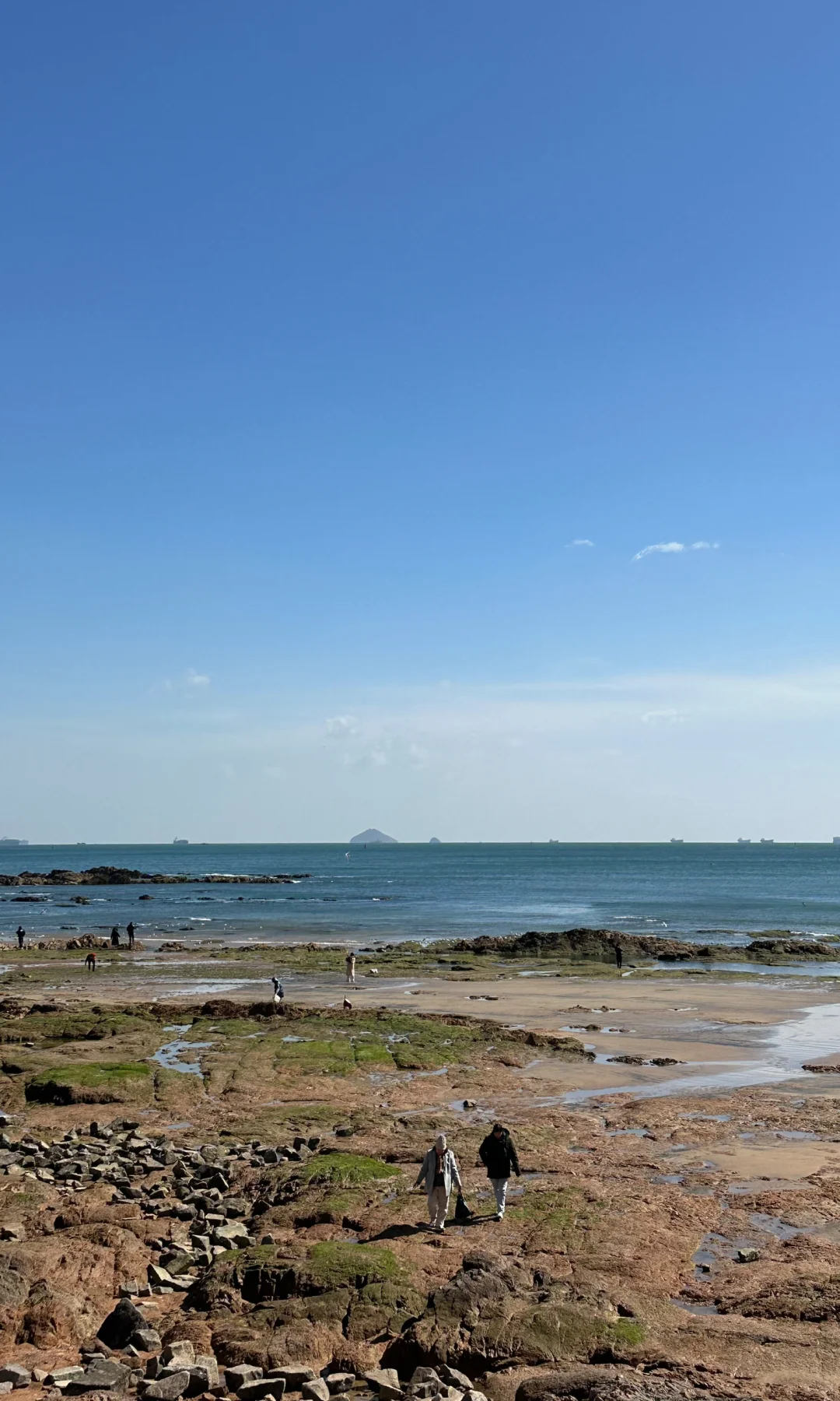 一键全屏 可太好了！