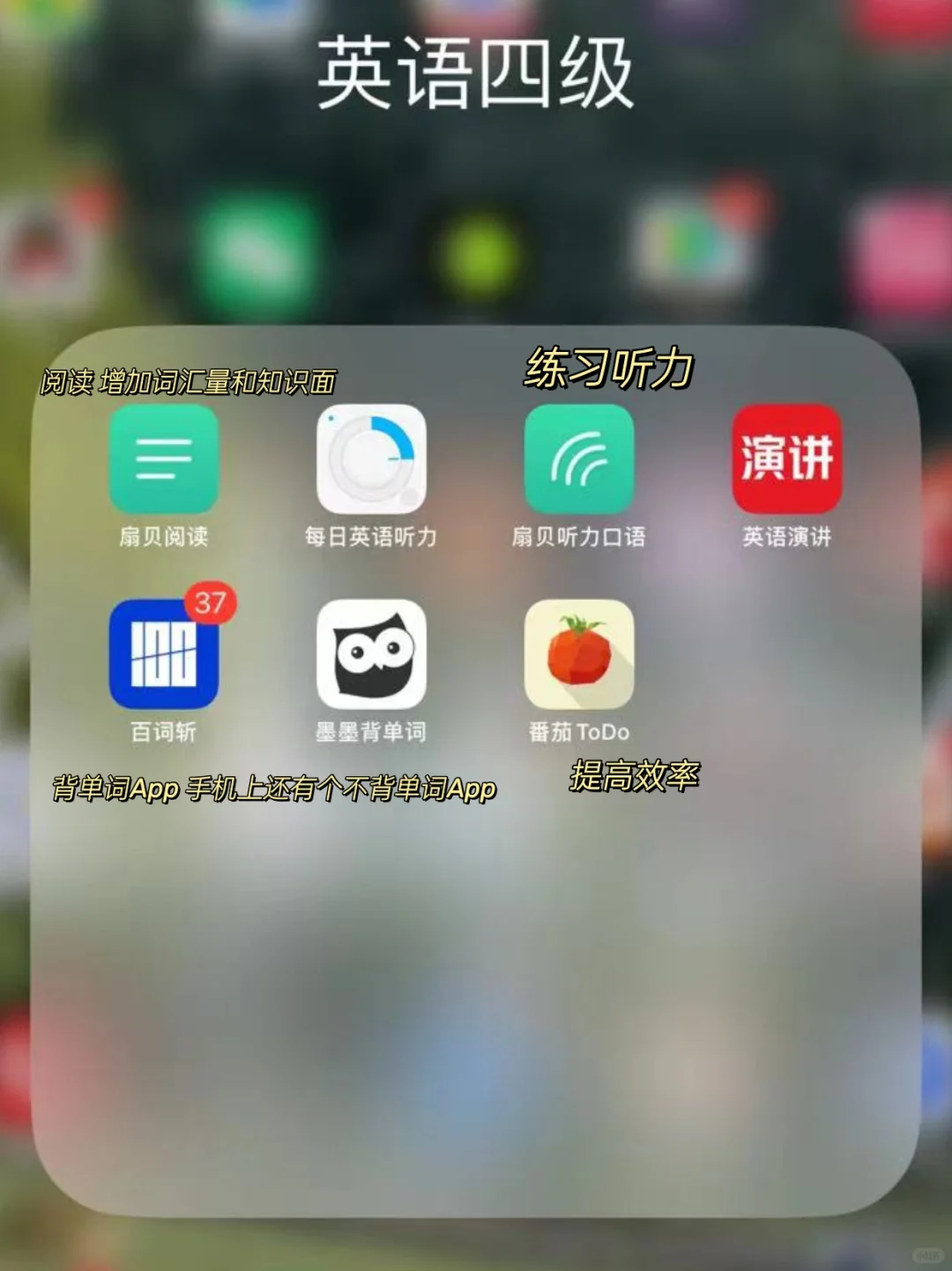 备考四级用的App