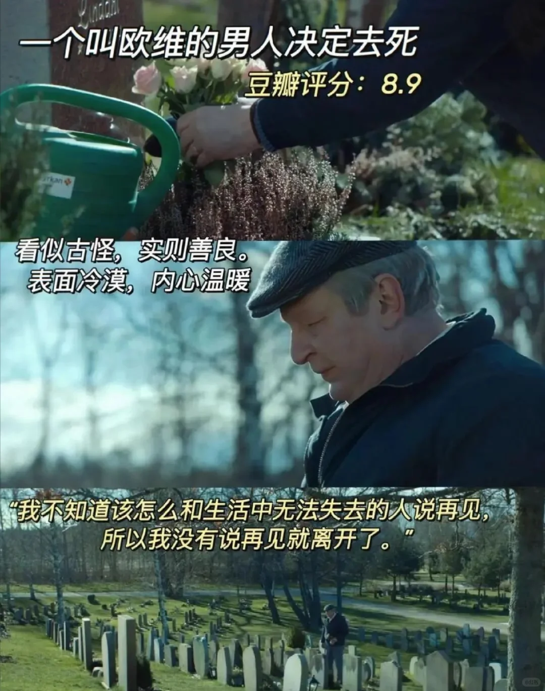 感谢这10部电影治愈了我！