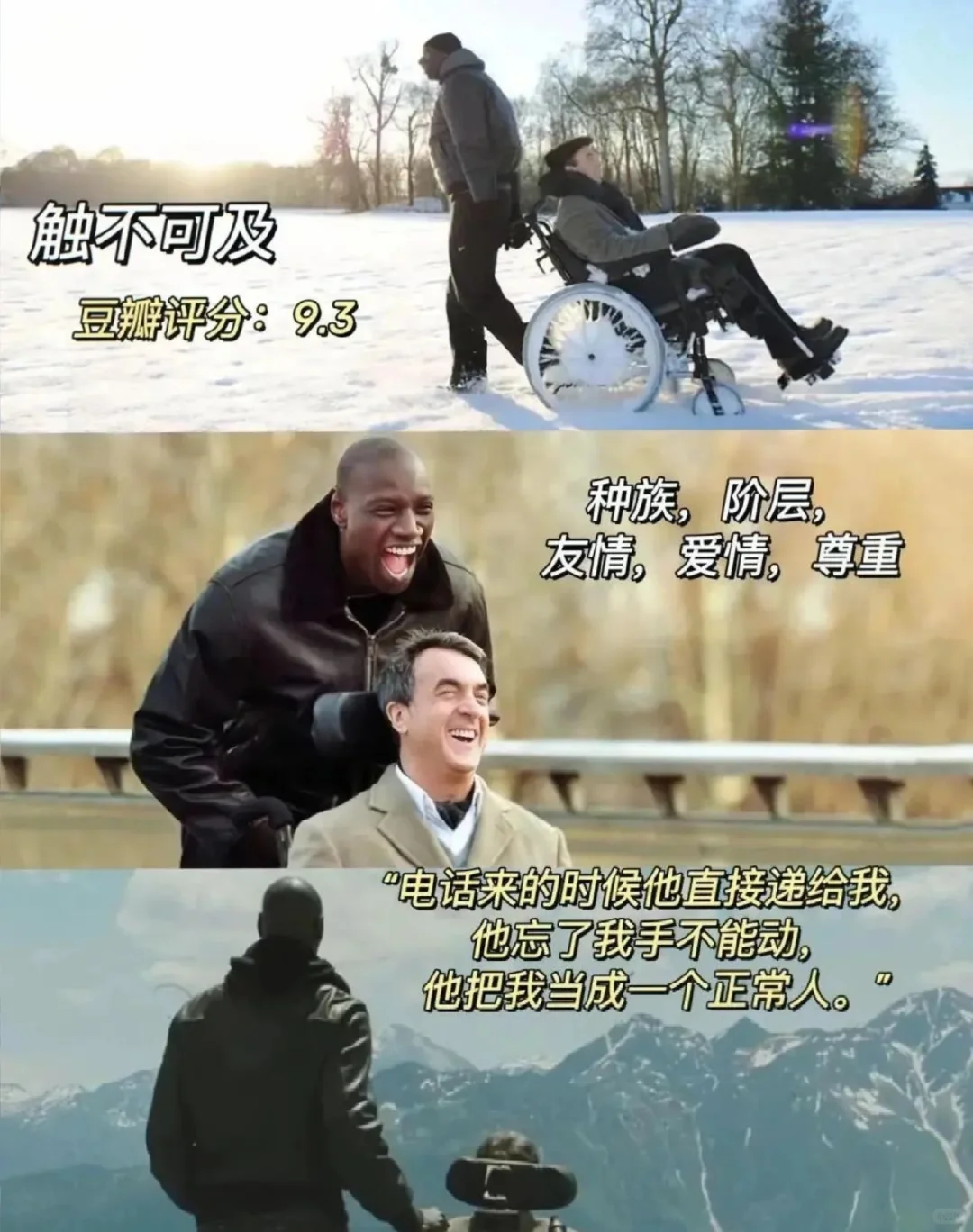 感谢这10部电影治愈了我！