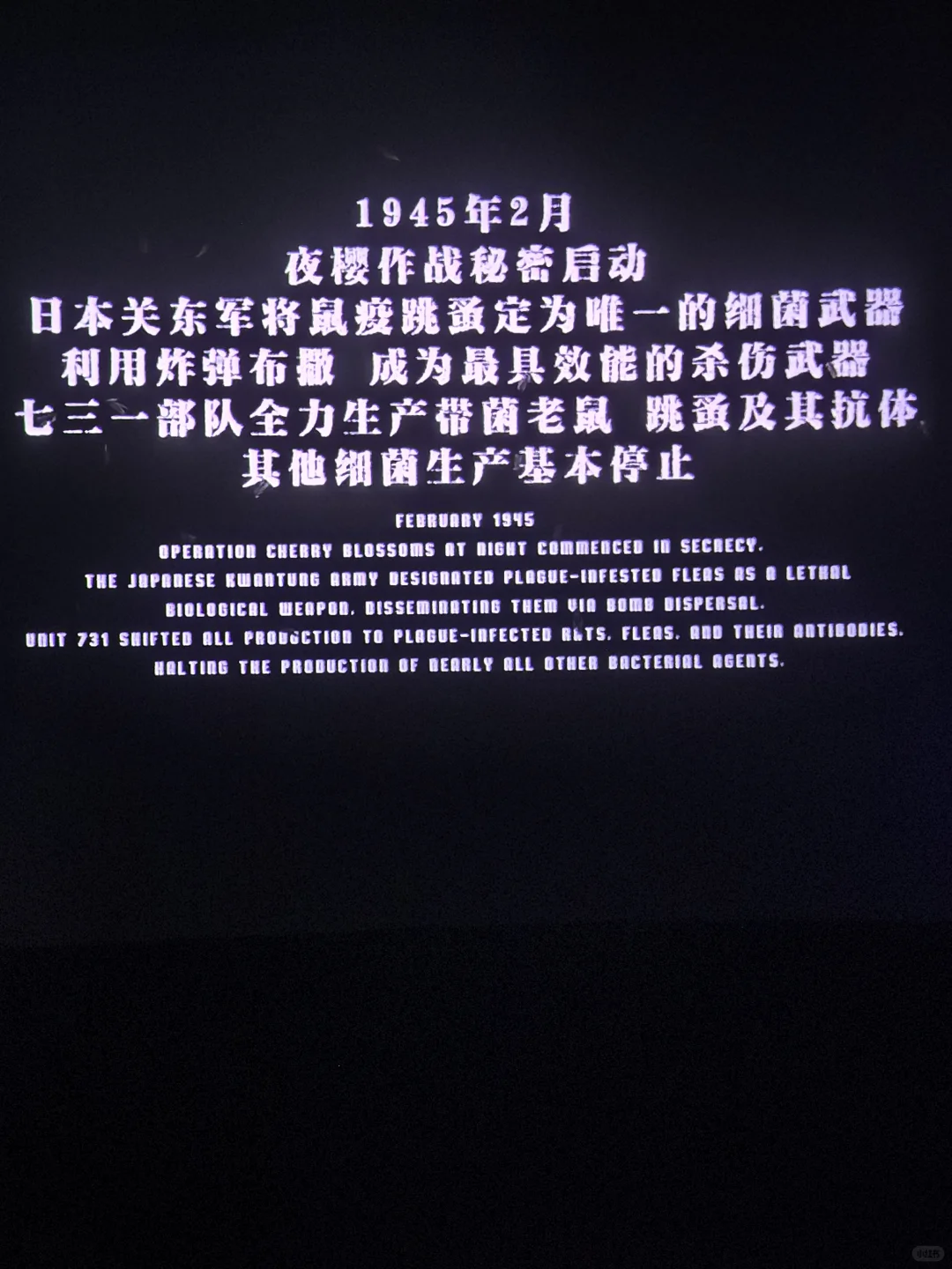 看了《731》观后感