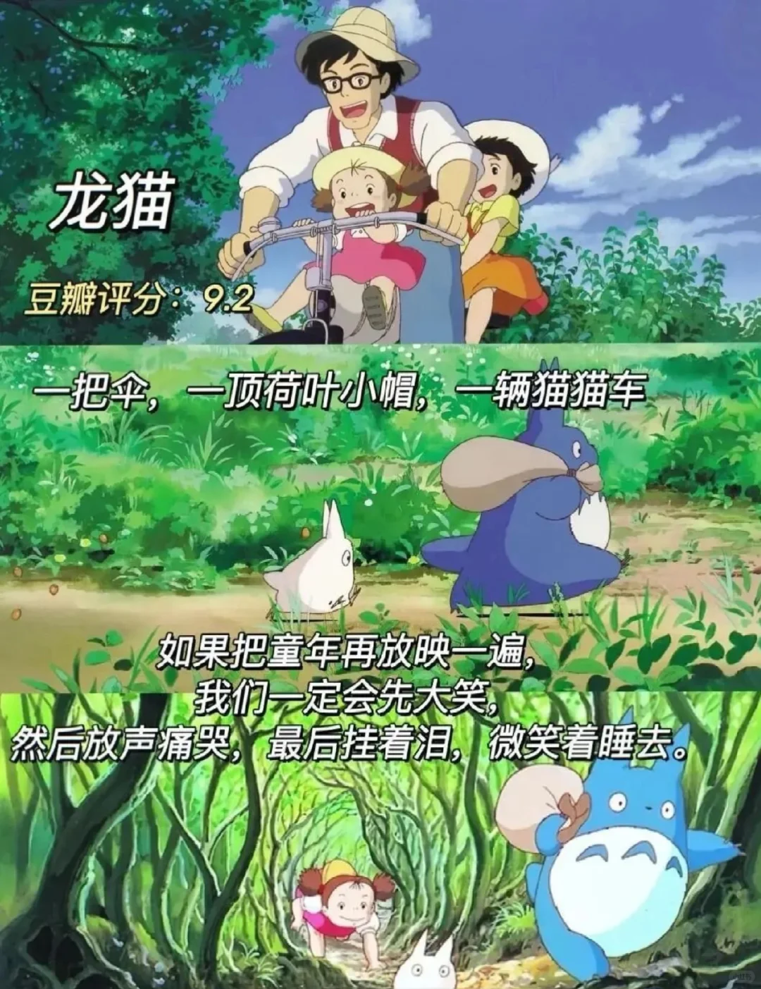 感谢这10部电影治愈了我！