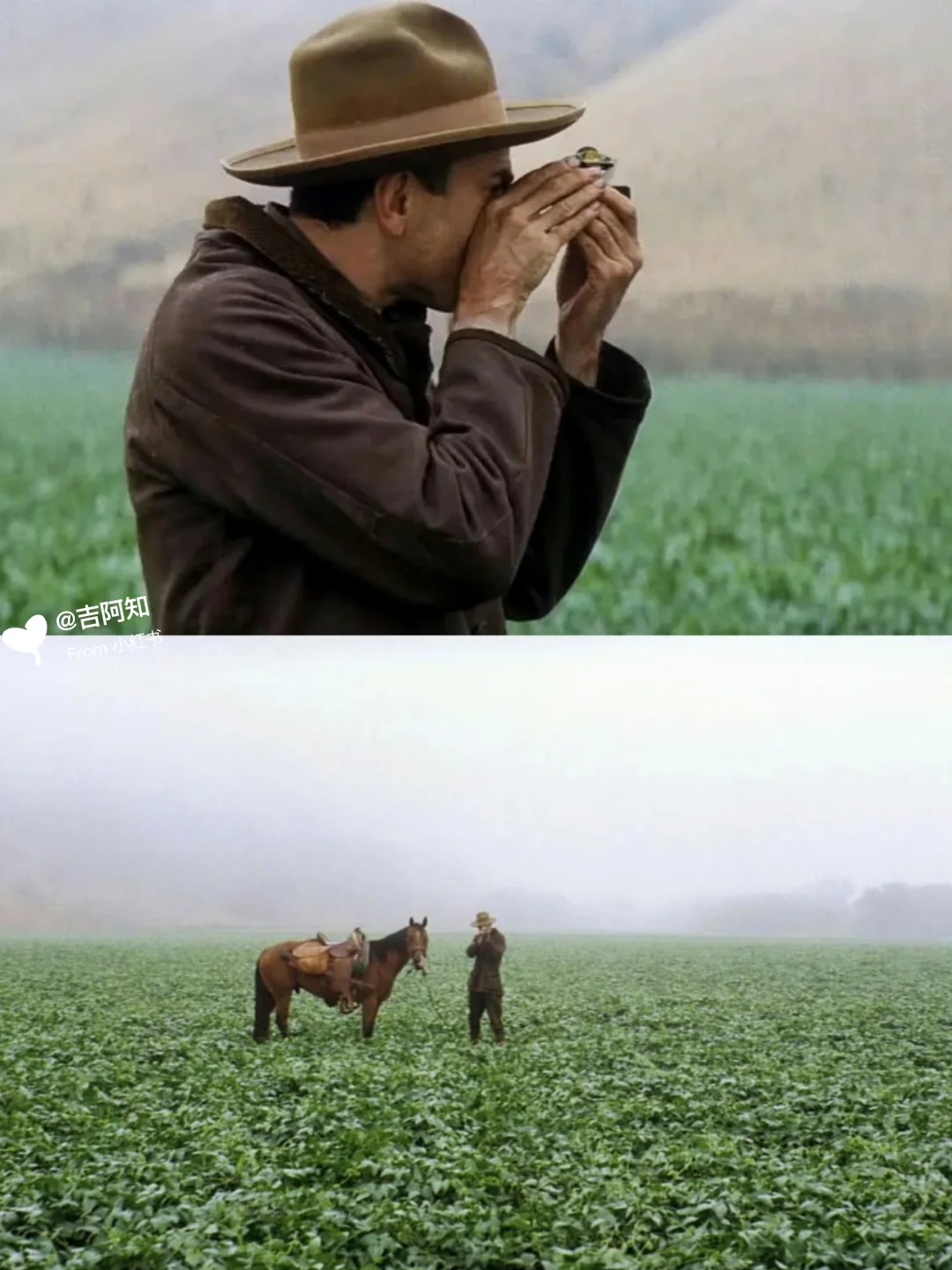 太震撼了😭不愧是提名奥斯卡的电影‼️