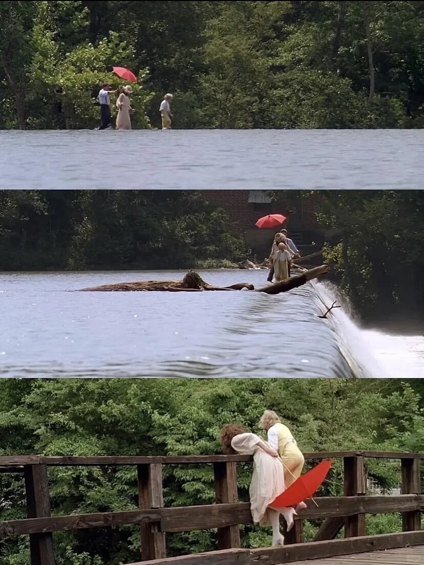 近期看过的最治愈的电影，没有之一‼️