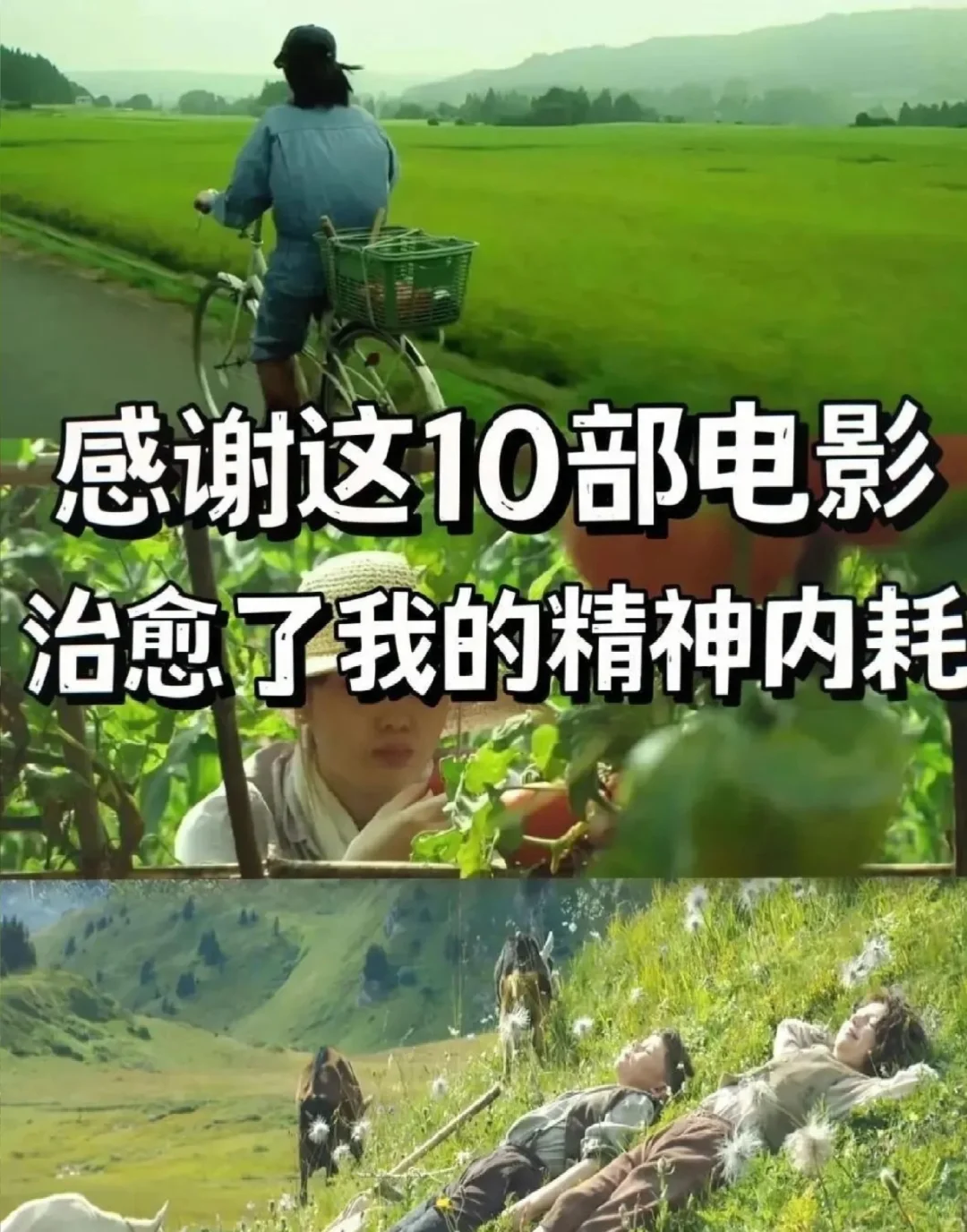 感谢这10部电影治愈了我！