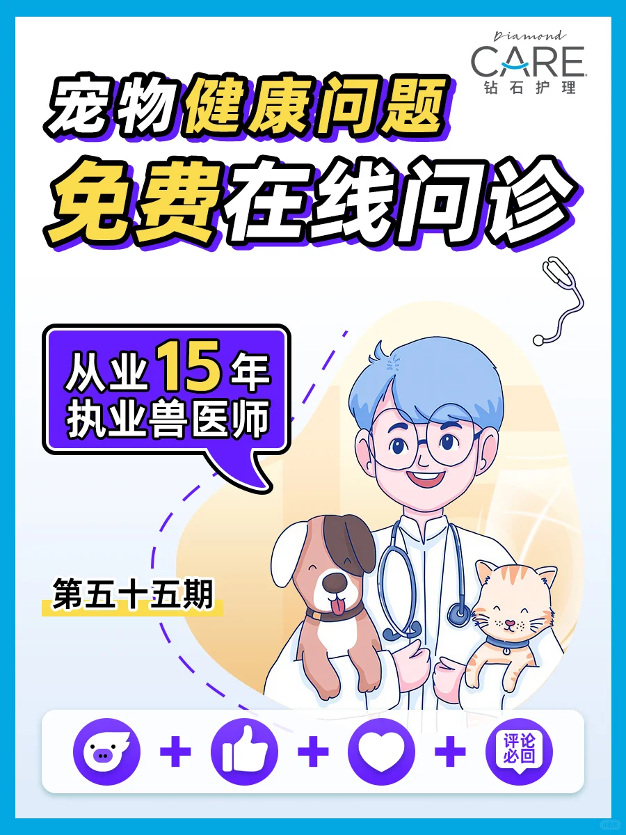 宠物医生在线问诊❗️宠物不要慌❗️