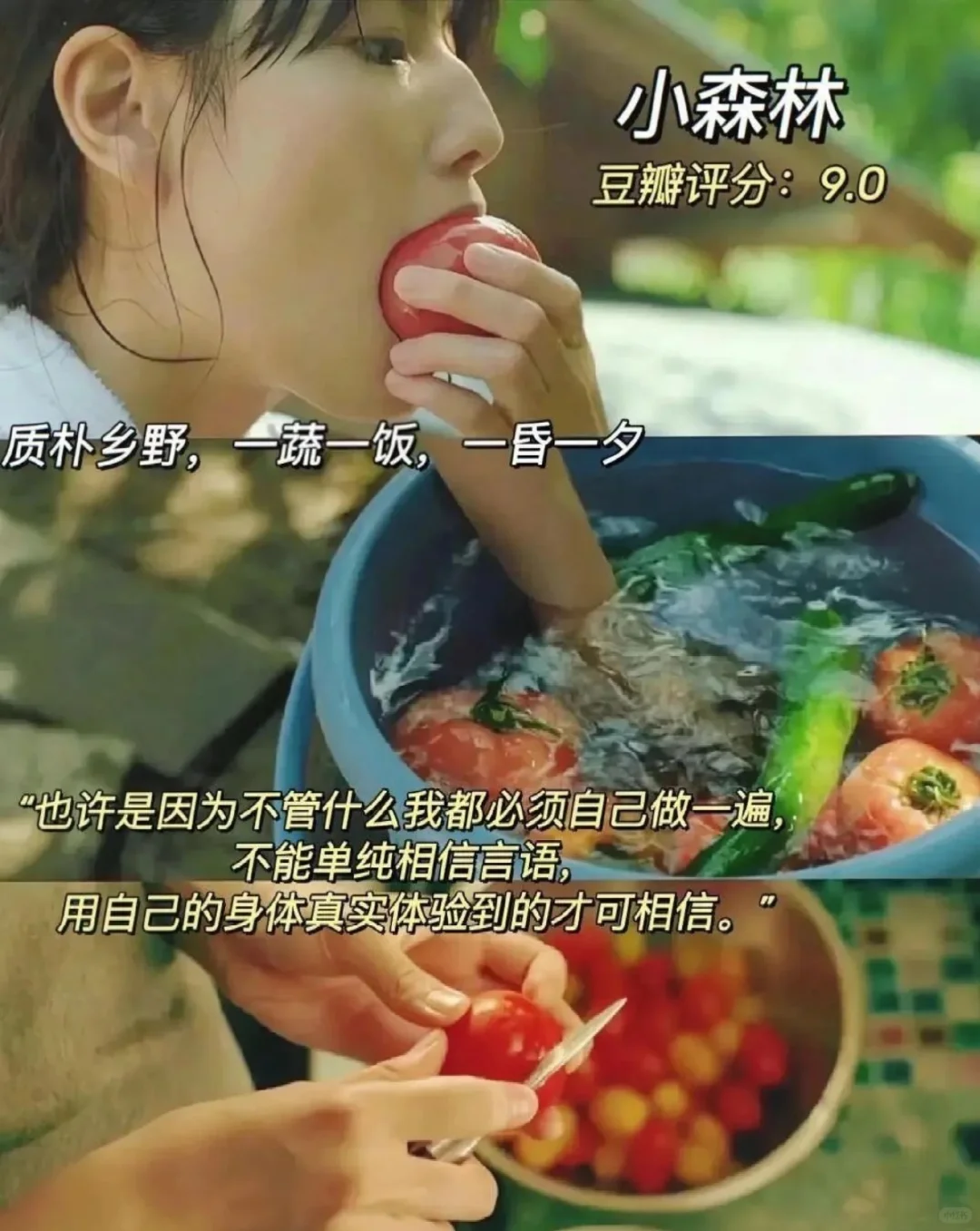 感谢这10部电影治愈了我！