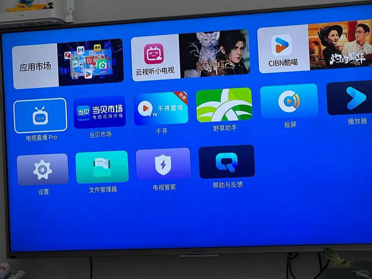 挖到宝了，有电视的都可以看看