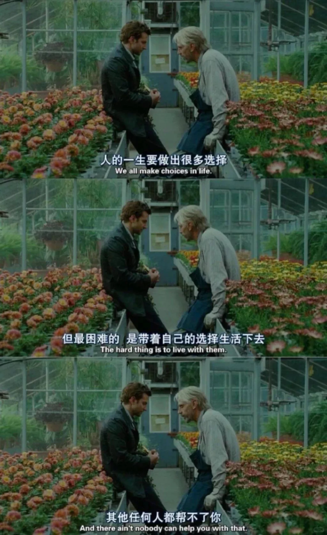 我好像发现了电影的真谛😭😭😭