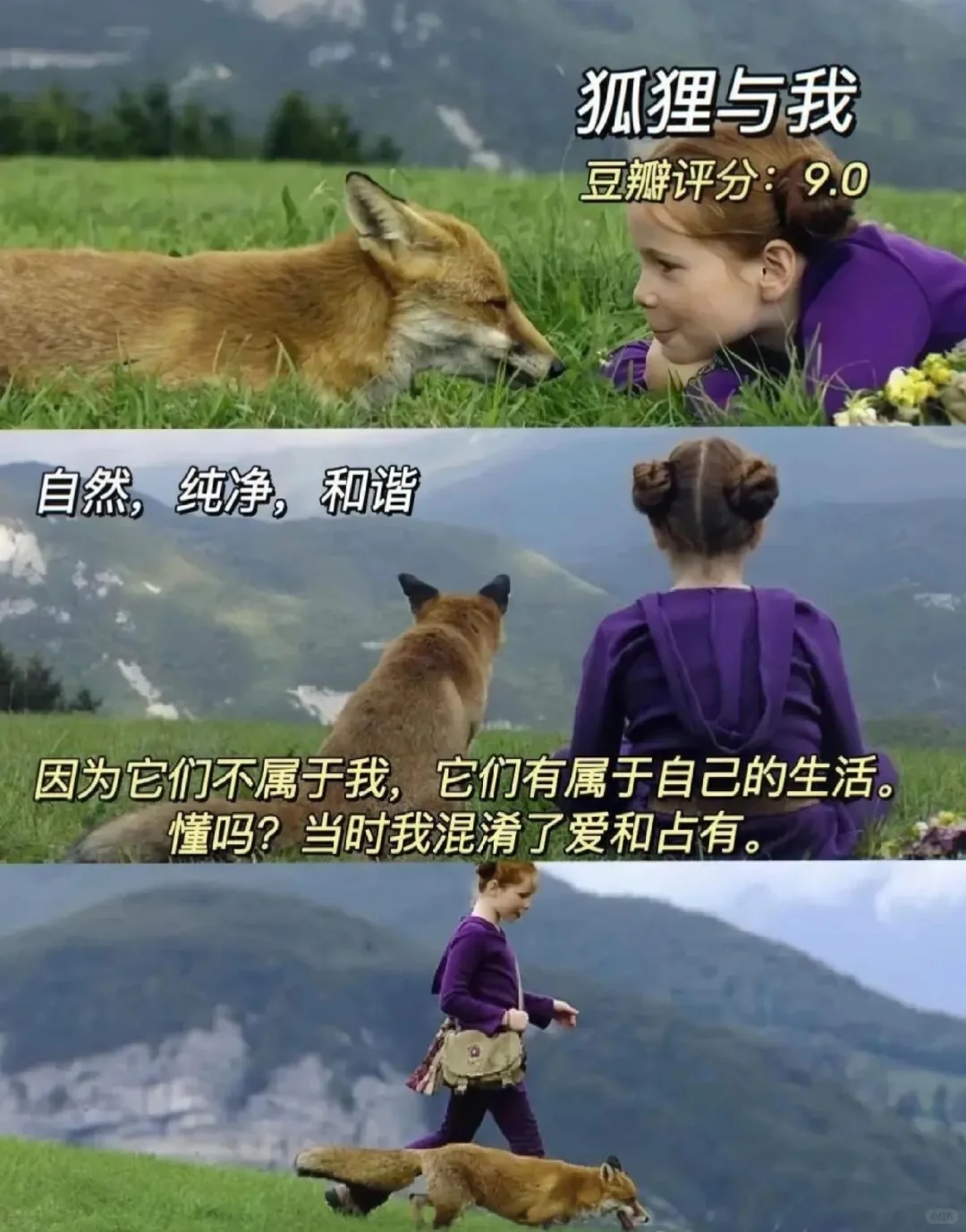 感谢这10部电影治愈了我！