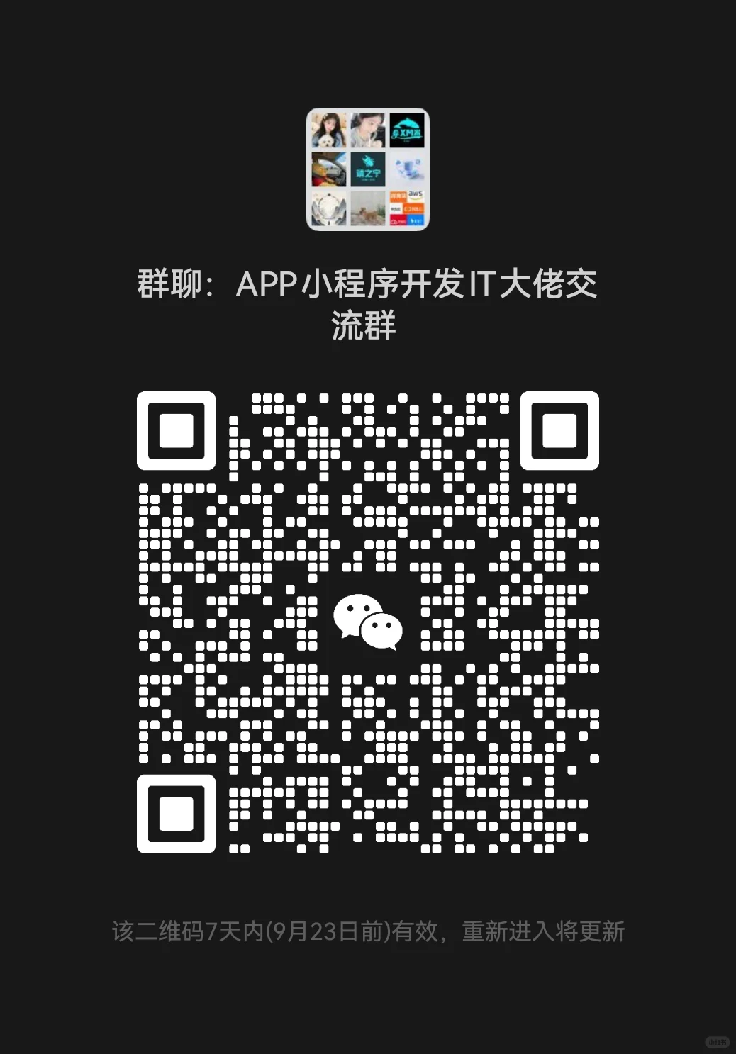 APP小程序开发IT大佬交流群