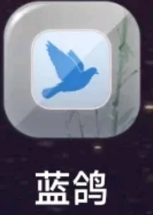蓝鸽 软件诈骗