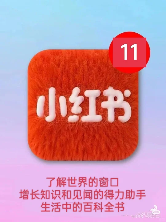 社交网络软件‘小红书’