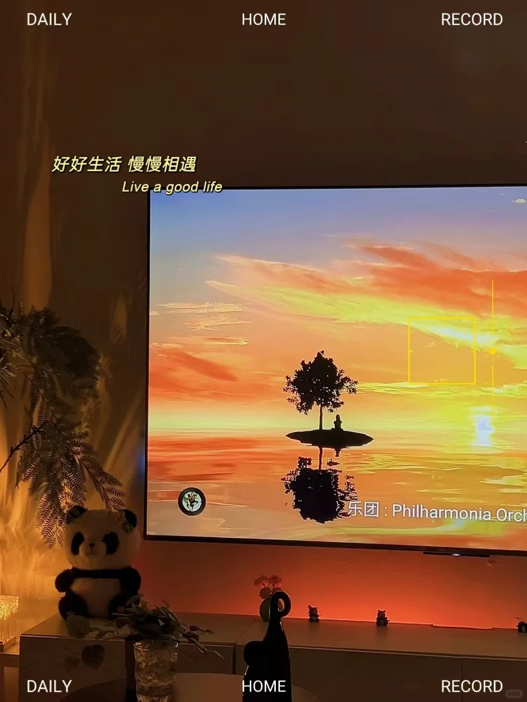 如果有一台长虹电视