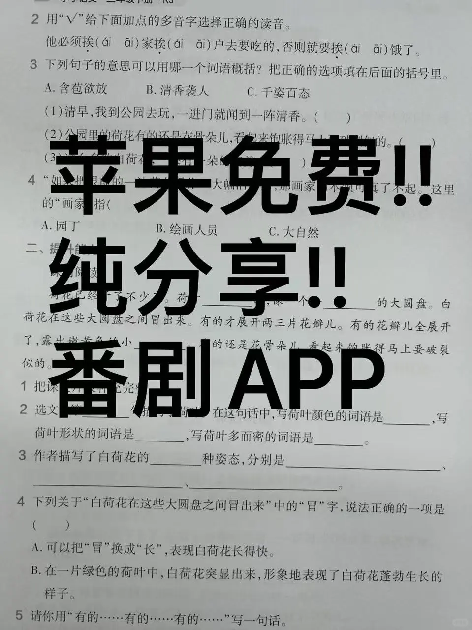 免费看电视APP来啦