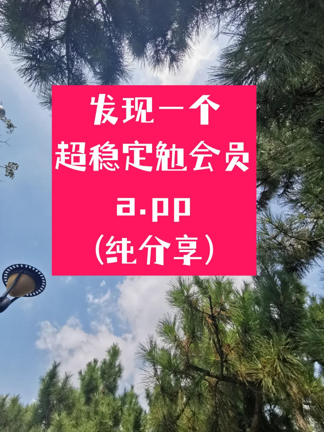 这里发现一个超稳定勉会员艾普