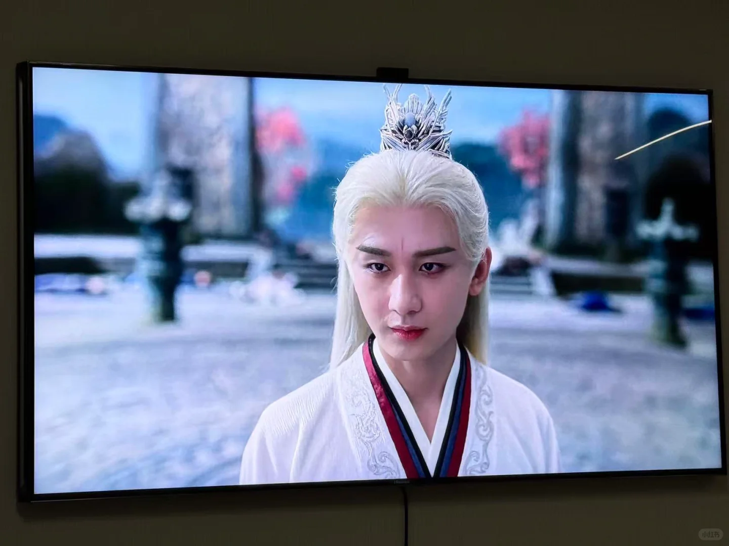 终于不会开会员了！所有免费看！