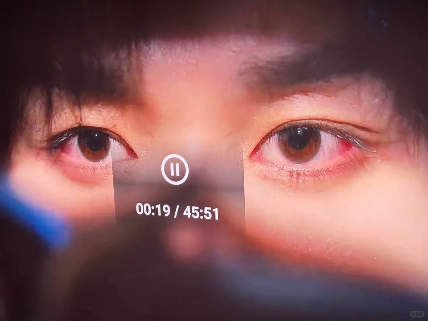 终于不会开会员了！所有免费看！