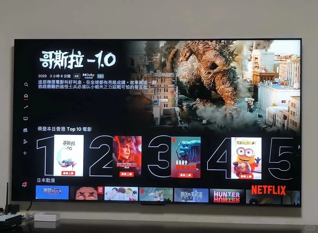 新买的电视直接解锁网飞，太爽了