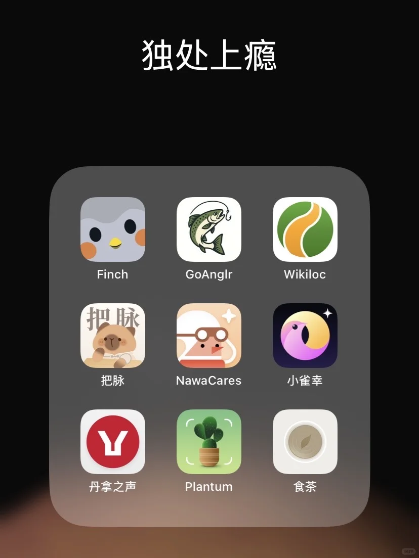 喜欢独处的人，请收藏好这9款小众App