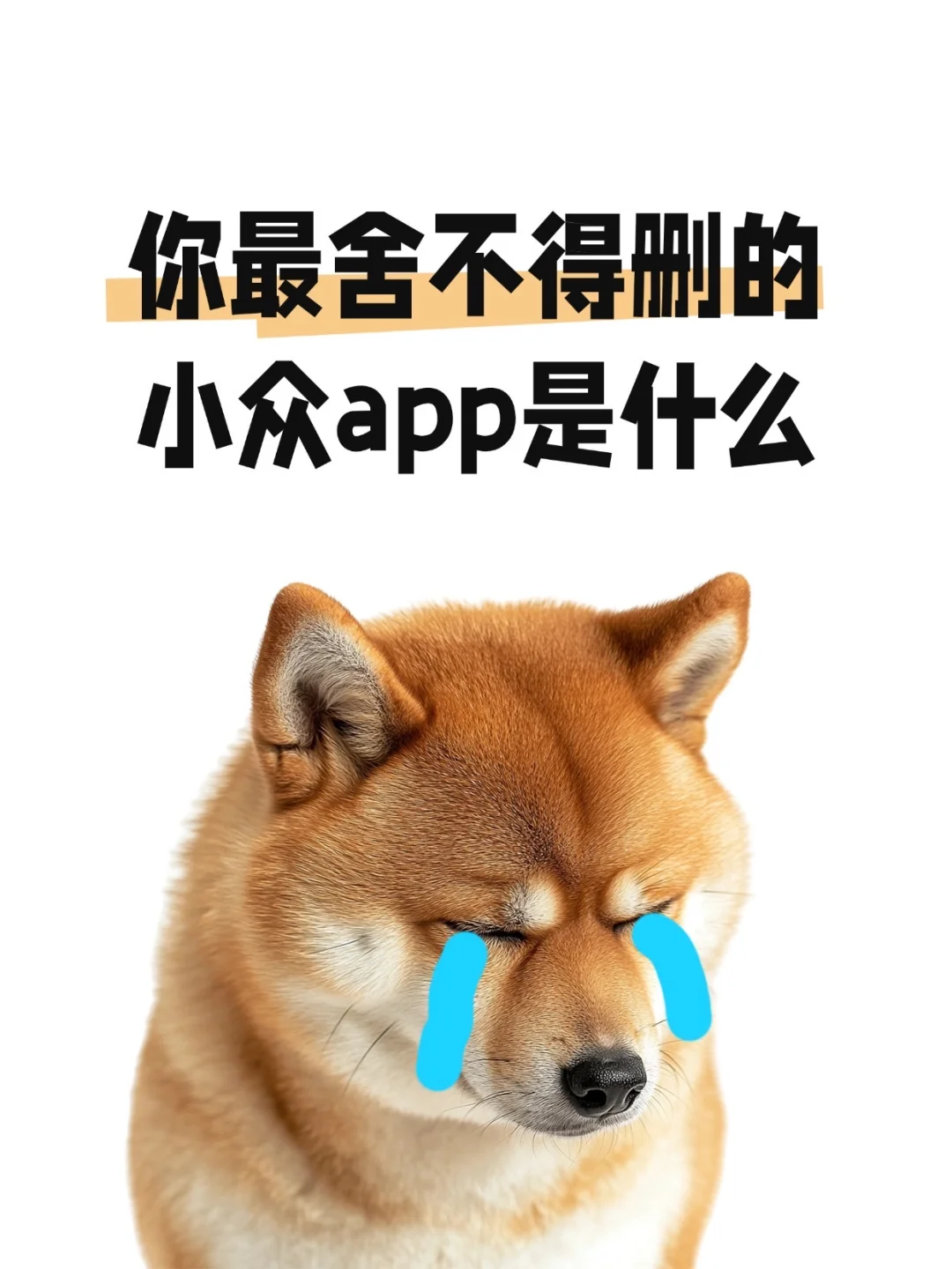 你最舍不得删除小众app是什么