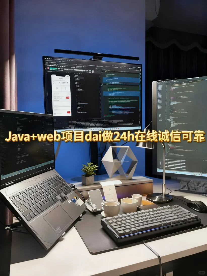 软件开发辅导咨询