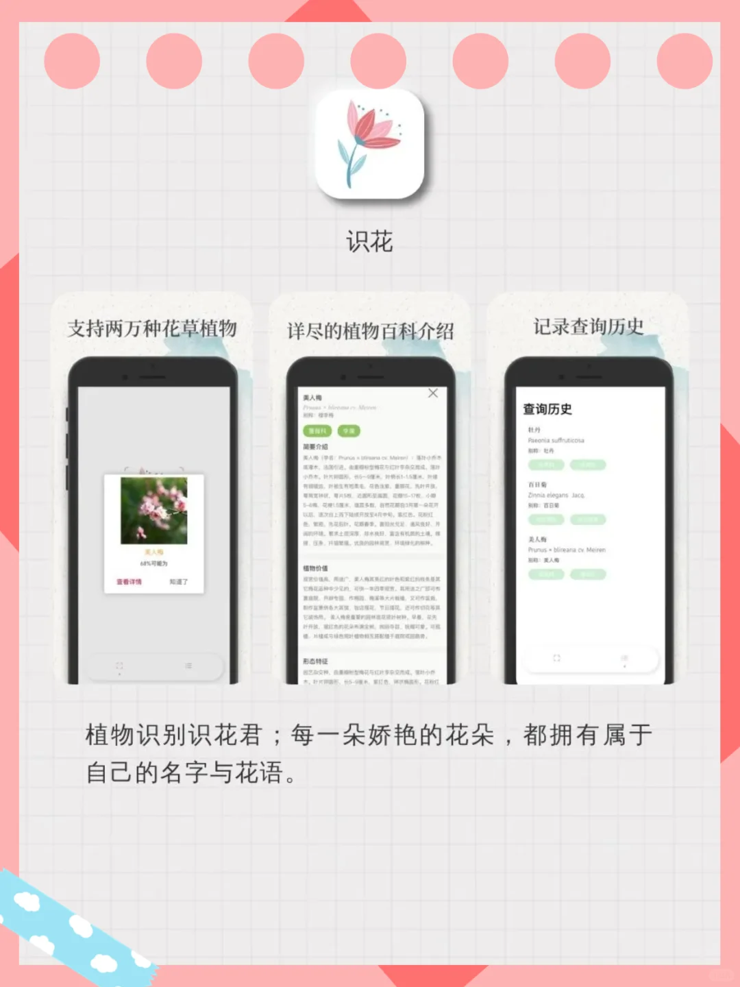 5款小众实用APP，每一个都让生活UPUP！
